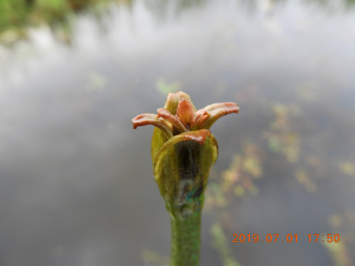 DSCN8705.JPG