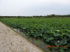 DSCN8707.JPG