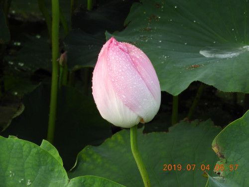 DSCN8745.JPG