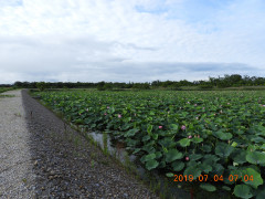 DSCN8751.JPG