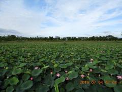 DSCN8752.JPG