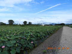 DSCN8753.JPG