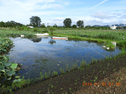 DSCN8747.JPG