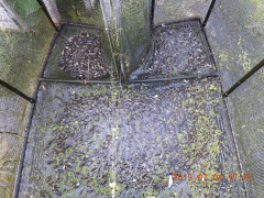 DSCN8756.JPG