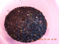 DSCN8758.JPG