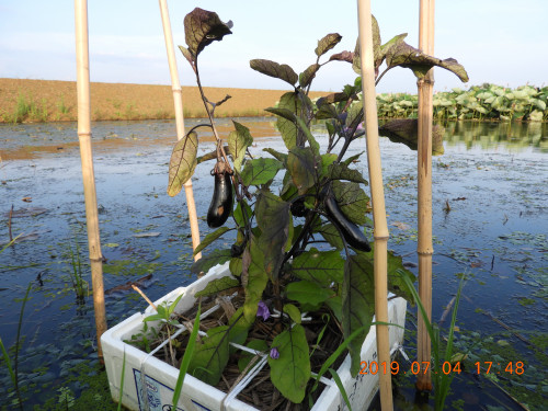 DSCN8754.JPG