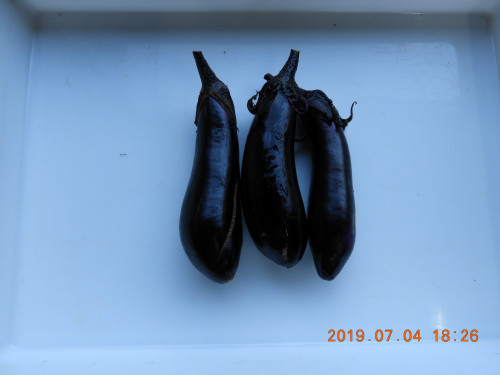 DSCN8759.JPG