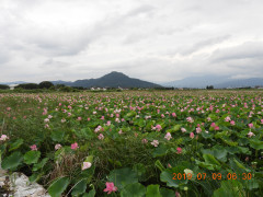 DSCN8774.JPG