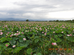 DSCN8775.JPG