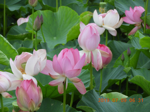 DSCN8776.JPG