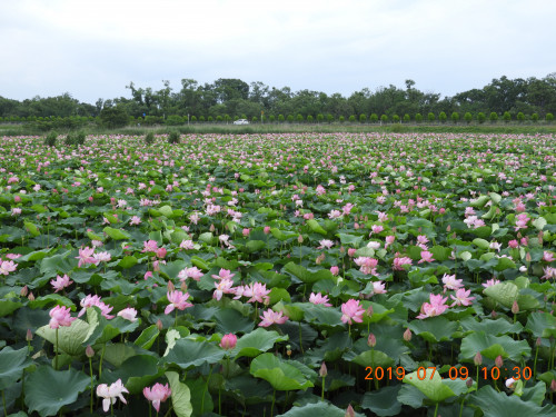 DSCN8778.JPG