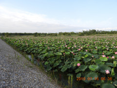 DSCN8809.JPG