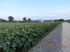 DSCN8811.JPG