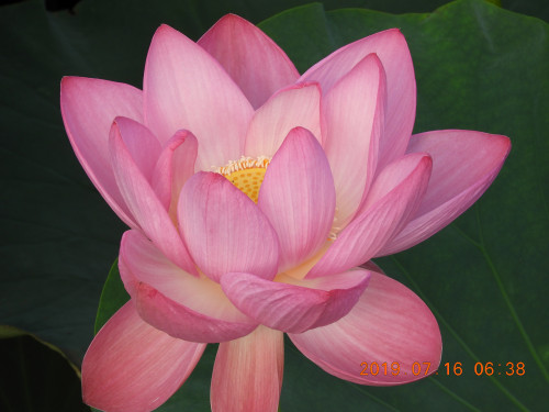 DSCN8814.JPG