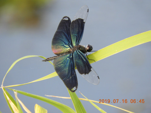 DSCN8827.JPG