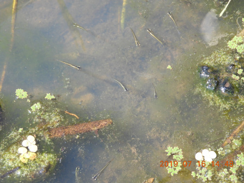 DSCN8830.JPG