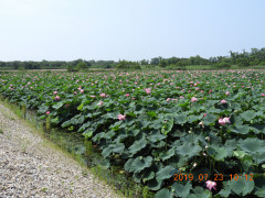 DSCN8909.JPG