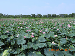 DSCN8910.JPG