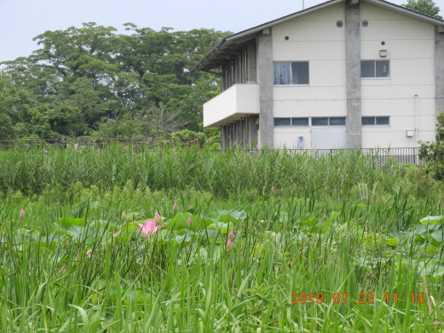 DSCN8921.JPG