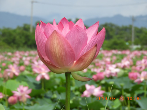 DSCN8900.JPG