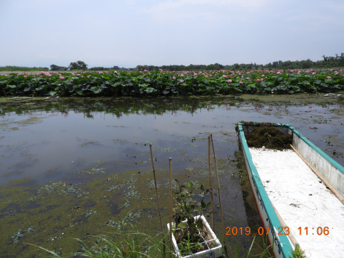 DSCN8918.JPG