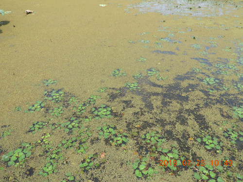 DSCN8915.JPG