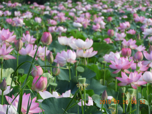 DSCN8958.JPG