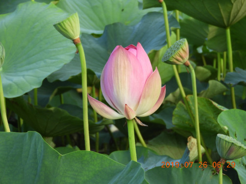 DSCN8942.JPG