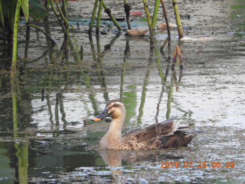 DSCN8938.JPG