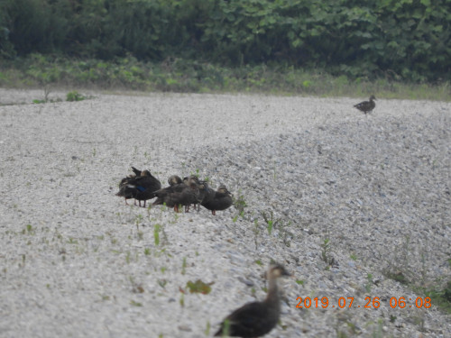 DSCN8935.JPG
