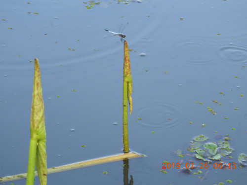 DSCN8939.JPG