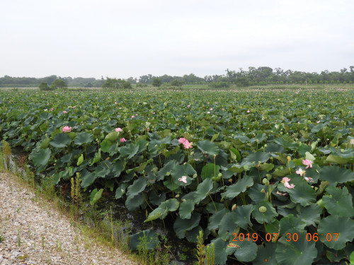 DSCN8981.JPG