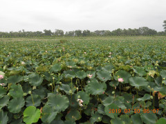 DSCN8982.JPG