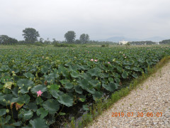 DSCN8983.JPG