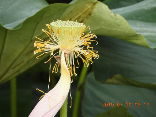 DSCN8991.JPG