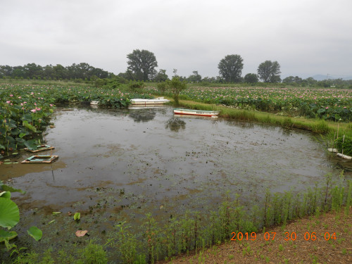 DSCN8979.JPG
