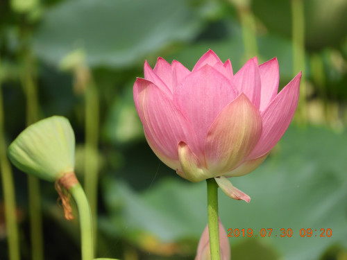 DSCN9120.JPG
