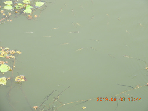 DSCN9130.JPG