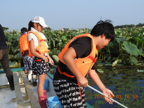 DSCN9145.JPG