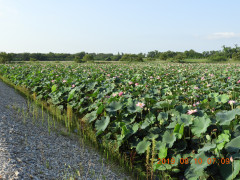 DSCN9230.JPG