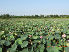 DSCN9231.JPG