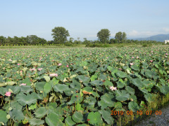 DSCN9232.JPG