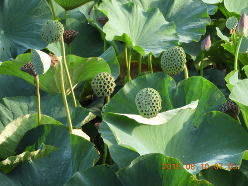 DSCN9220.JPG