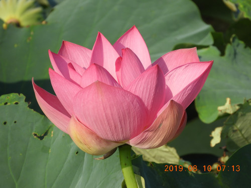 DSCN9234.JPG