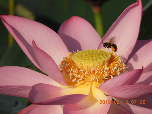 DSCN9229.JPG