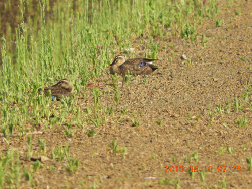 DSCN9247.JPG