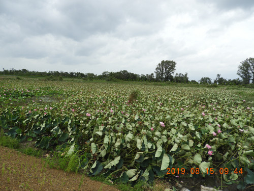 DSCN9305.JPG