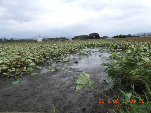 DSCN9310.JPG