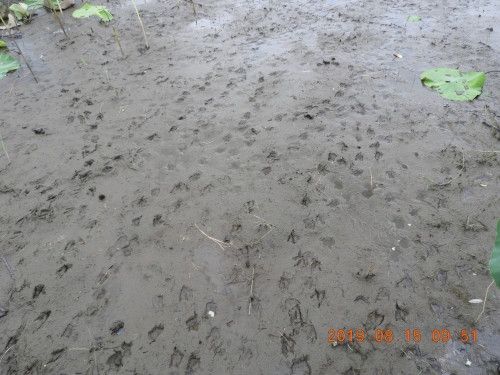 DSCN9311.JPG