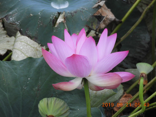 DSCN9378.JPG